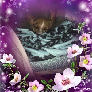 Meet your Posher, Beverly